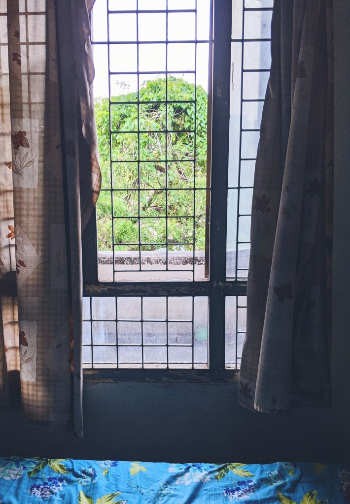 image from Lifeless through seasons